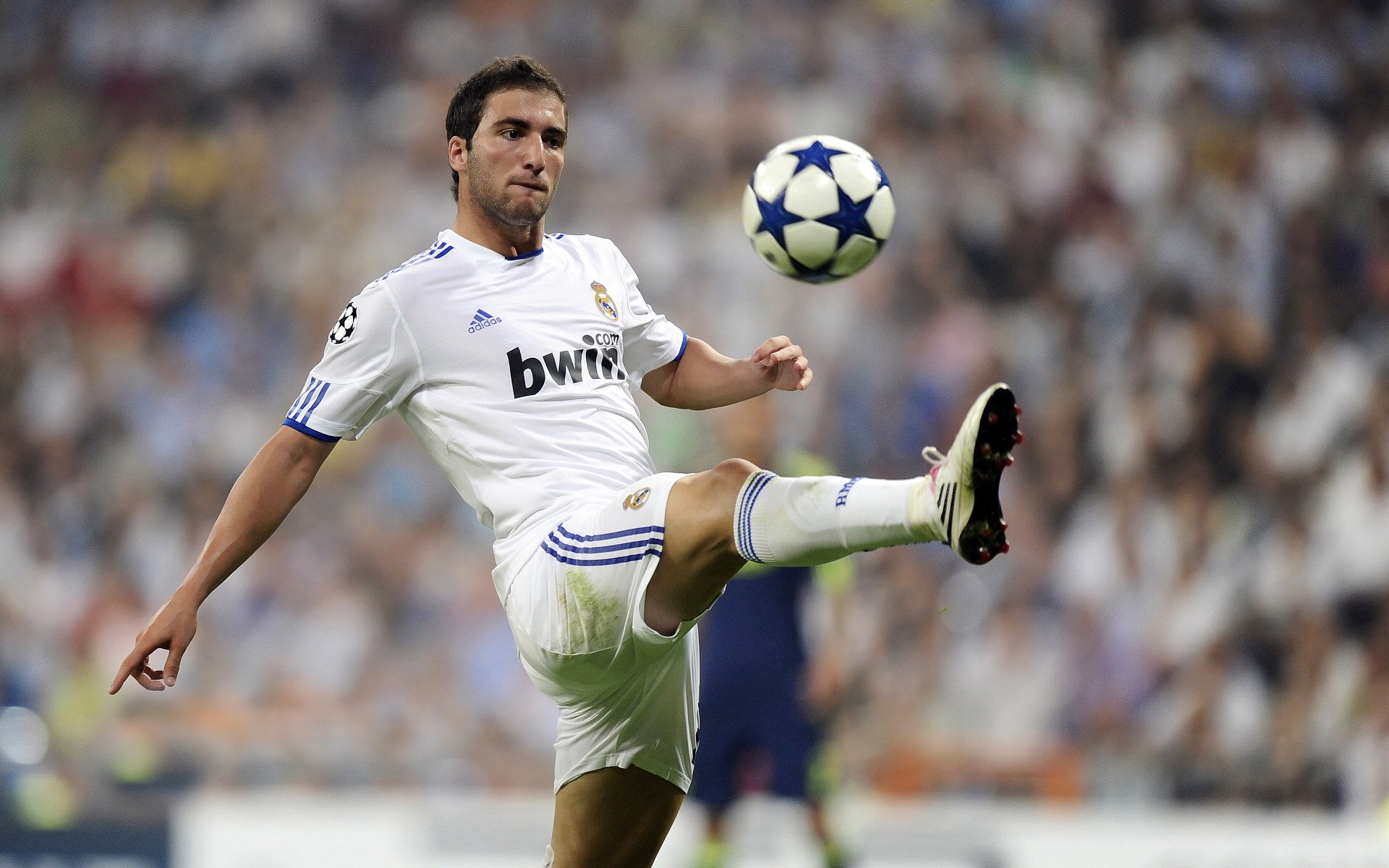 九游-凯尔特人组织球员家庭日活动增强归属感，凯尔特人 球员